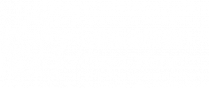 leicester-council-logo-300x127